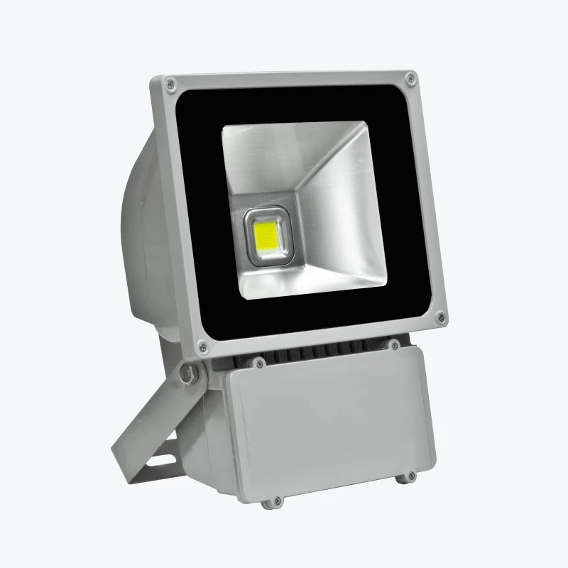 Projector LED 80W-1