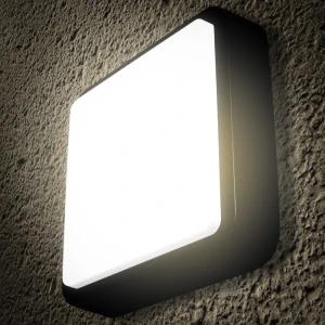Светильник LED 12W 4000K уличный настенно-потолочный IP54 черный PL-14191P PANLIGHT