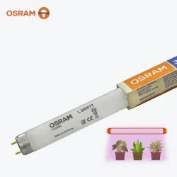 Tub Fluorescent FLUORA T8 36W/77