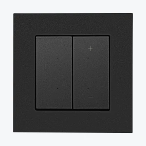 Диммер с кнопкой для LED ламп 2-250W черный матовый SIMON 55 TESL1.01/149
